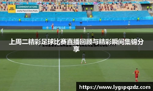 熊猫体育直播
