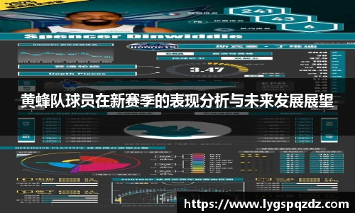 黄蜂队球员在新赛季的表现分析与未来发展展望